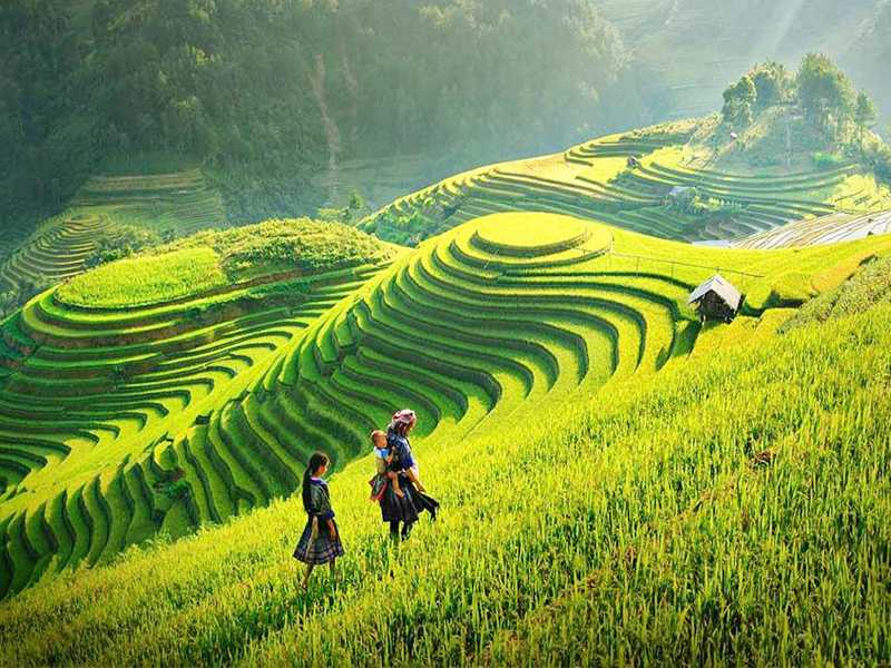 Hanoi - Sapa Tour - 2 Days 1 Night