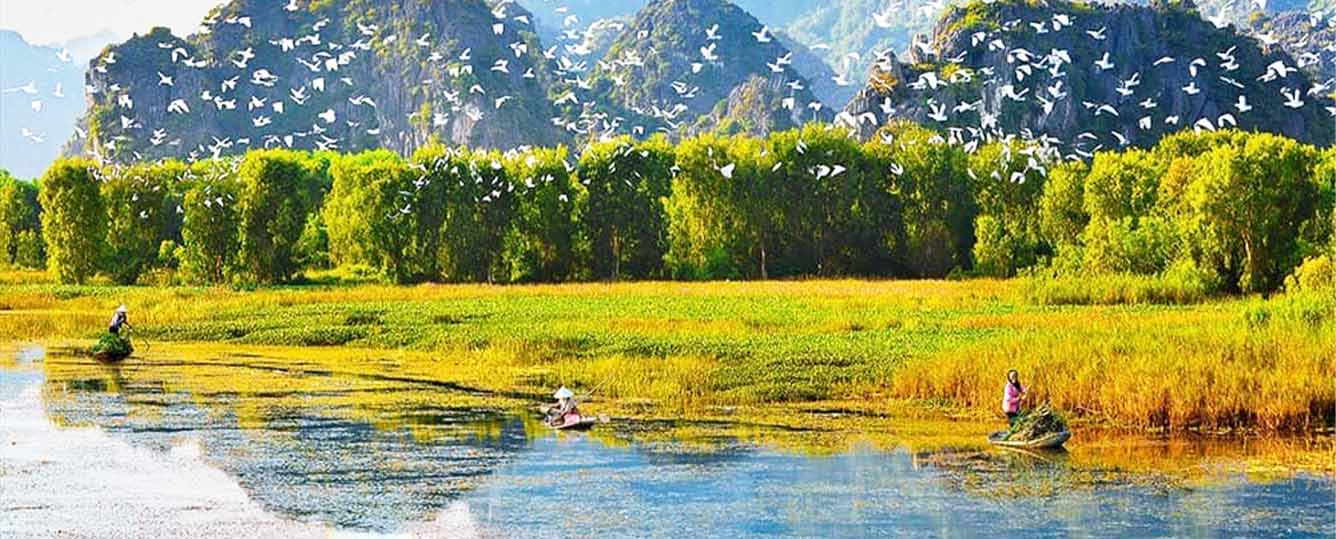 Ninh Binh Tour: Hanoi - Cuc Phuong National Park - Van Long Wetland Reserve - 1 Day