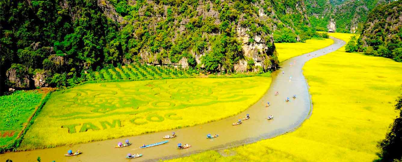Hanoi - Ninh Binh - Hoa Lu - Tam Coc - Mua Cave - 1 Day Tour